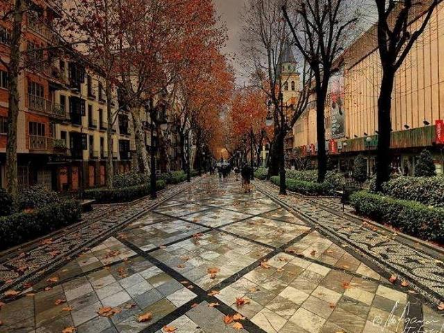 Estudio en alquiler en Granada