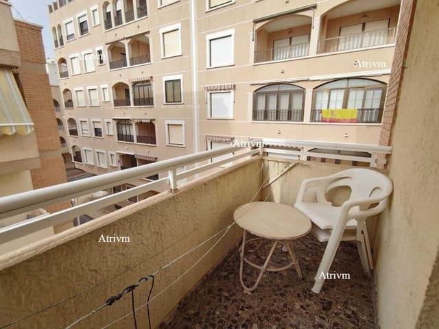 Estudio en alquiler en Guardamar Del Segura
