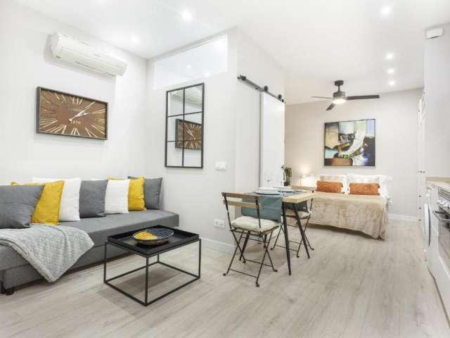 Estudio en alquiler en Madrid, Hispanoamérica