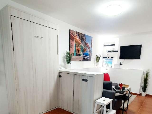 Estudio en alquiler en Madrid, Imperial