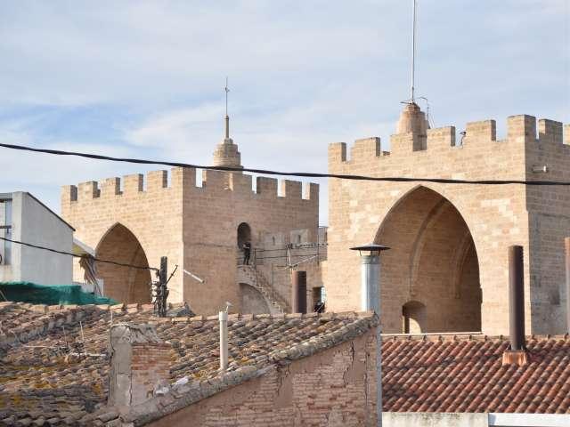 Estudio en alquiler en Valencia, la Seu