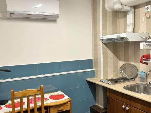Estudio en alquiler en L'hospitalet De Llobregat, la Torrassa