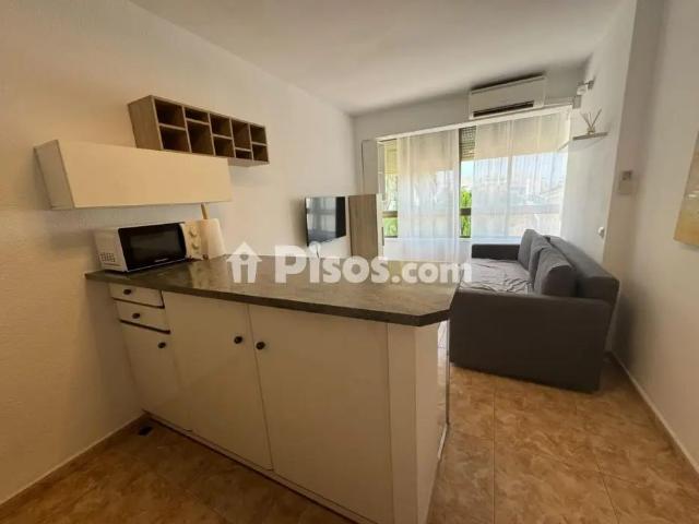 Estudio en alquiler en Centre Històric, l'Alacantí