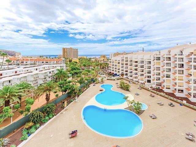 Estudio en alquiler en Tenerife, Oasis del Sur
