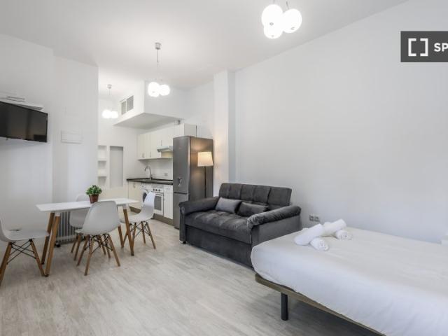 Estudio en alquiler en Madrid, Los Rosales