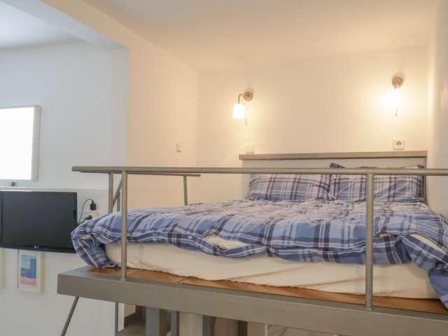 Estudio en alquiler en Madrid, Universidad