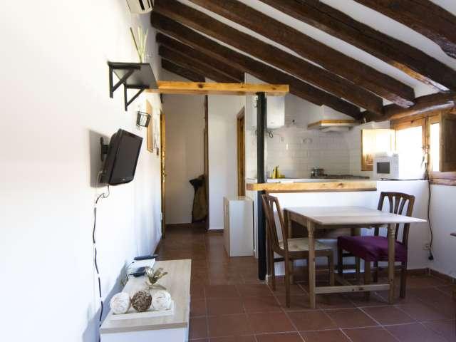 Estudio en alquiler en Centro, Madrid