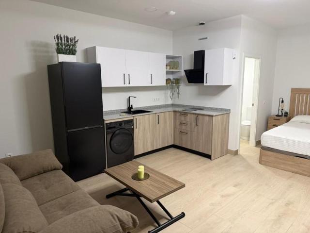 Estudio en alquiler en Cruz de Humilladero, Málaga