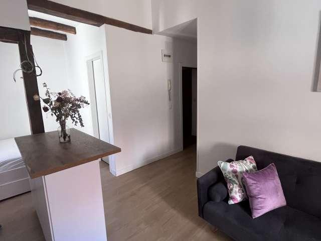 Estudio en alquiler en Centro, Madrid