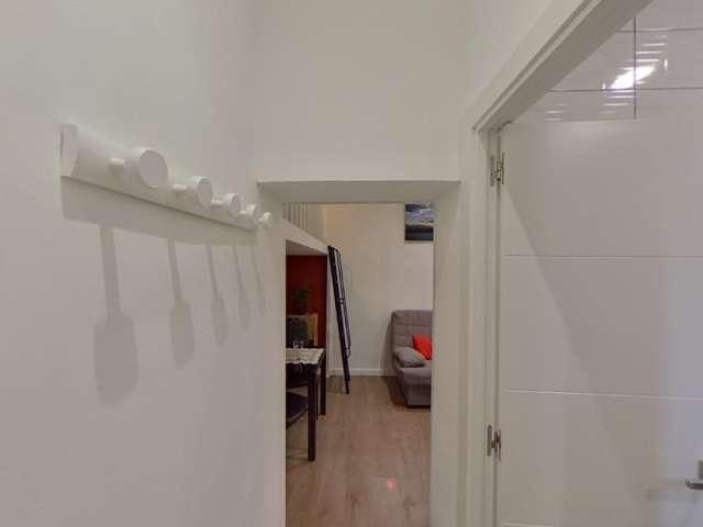 Estudio en alquiler en Madrid, Universidad