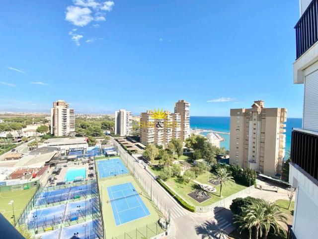 Estudio en alquiler en Orihuela, Mil Palmeras
