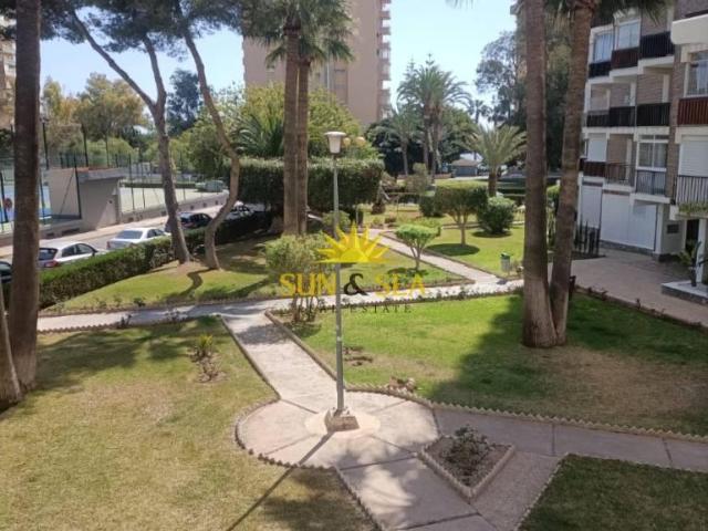 Estudio en alquiler en Orihuela, Urbanización Lomas de Cabo Roig