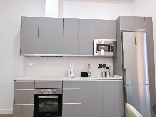 Estudio en alquiler en Madrid, Embajadores