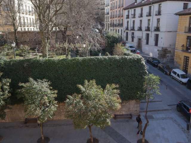 Estudio en alquiler en Centro, Madrid