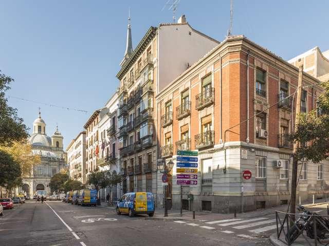 Estudio en alquiler en Centro, Madrid