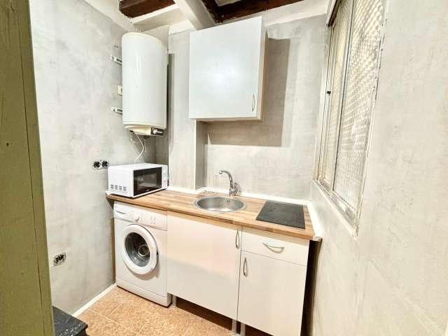 Estudio en alquiler en Madrid, Palacio