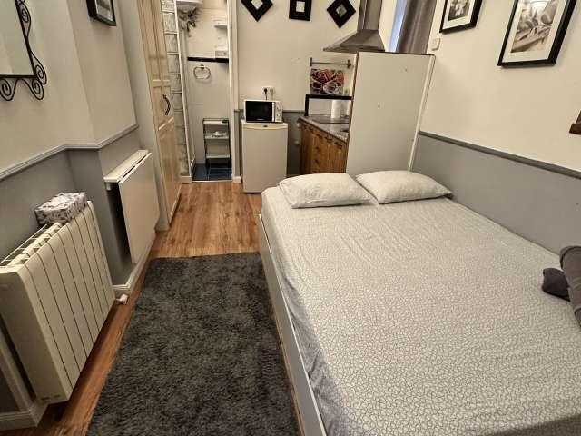Estudio en alquiler en Centro, Madrid