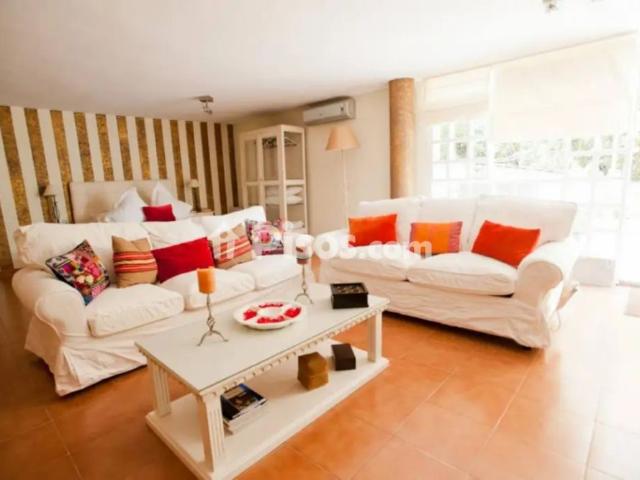 Estudio en alquiler en Casco Antiguo, Sevilla