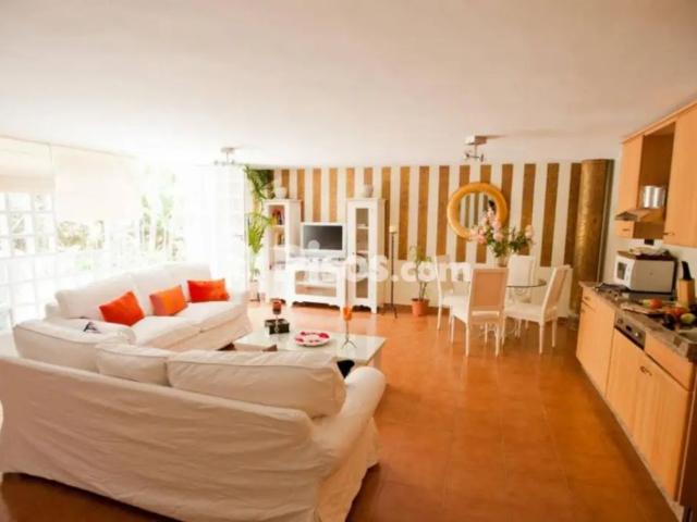 Estudio en alquiler en Casco Antiguo, Sevilla