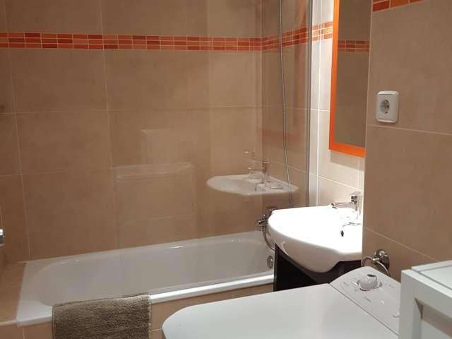 Estudio en alquiler en Madrid, Recoletos