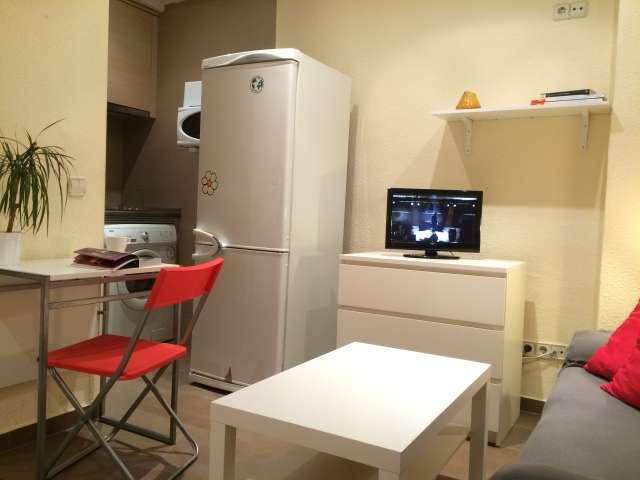 Estudio en alquiler en Madrid, Recoletos