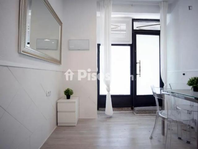 Estudio en alquiler en Recoletos, Madrid