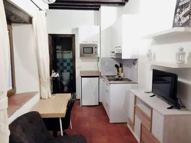 Estudio en alquiler en Granada, Albaicín