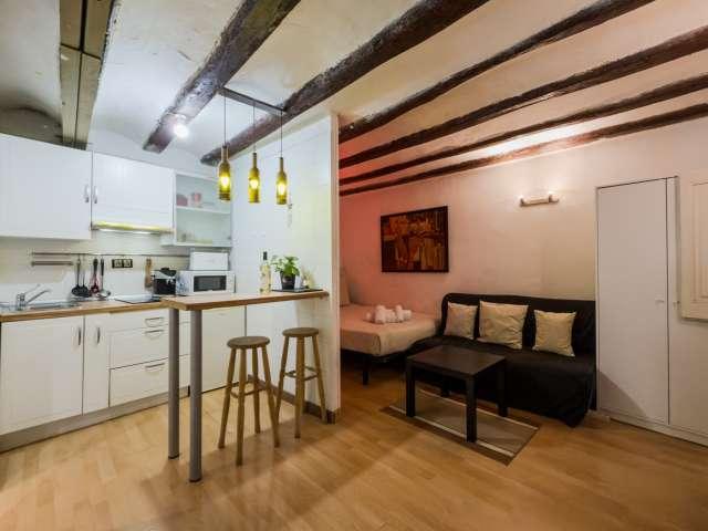 Estudio en alquiler en Ciutat Vella, Barcelonès