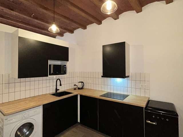 Estudio en alquiler en Ciutat Vella, Barcelonès