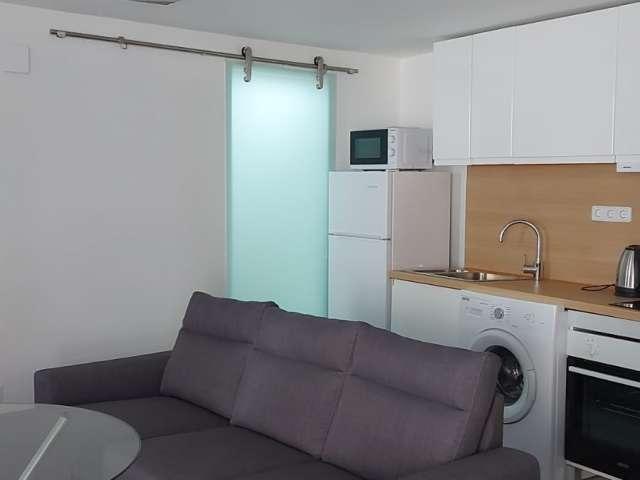 Estudio en alquiler en Casco Antiguo, Sevilla