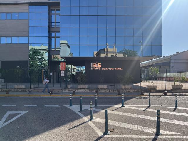 Estudio en alquiler en El Porvenir, Sevilla