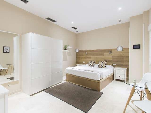 Estudio en alquiler en Centro, Madrid