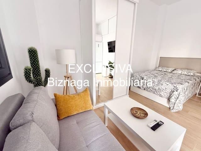 Estudio en alquiler en Torrox Park, La Axarquía