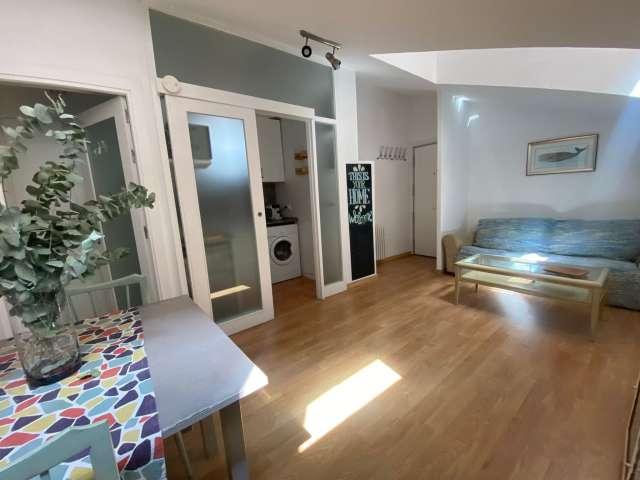 Estudio en alquiler en Madrid, Universidad