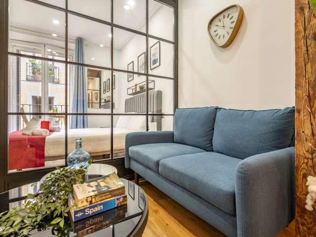 Estudio en alquiler en Centro, Madrid