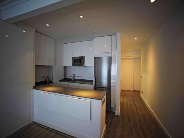 Estudio en alquiler en Centro, Madrid