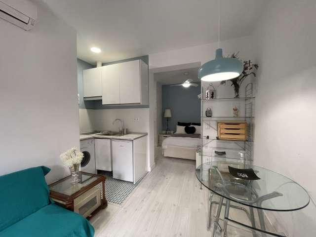 Estudio en alquiler en Centro, Madrid