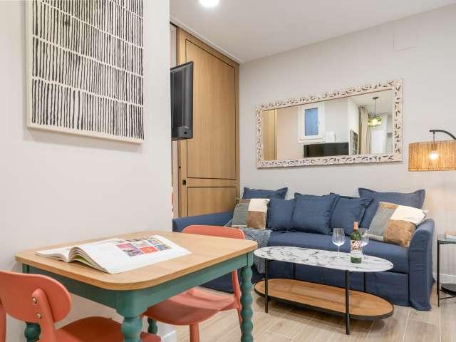 Estudio en alquiler en Centro, Madrid