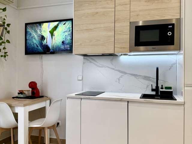 Estudio en alquiler en Centro, Madrid