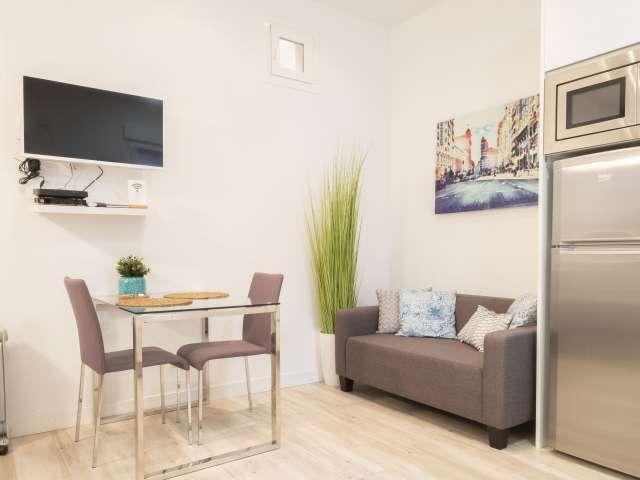 Estudio en alquiler en Centro, Madrid