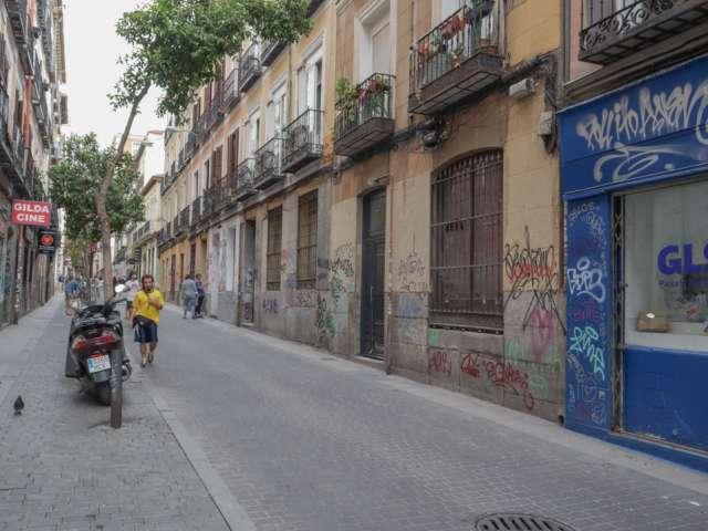 Estudio en alquiler en Madrid, Universidad