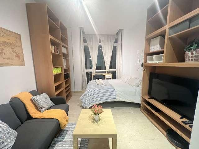 Estudio en alquiler en Centro, Madrid