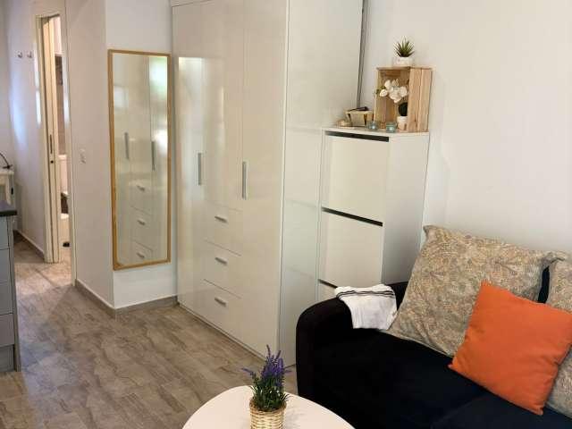 Estudio en alquiler en Fuencarral - El Pardo, Madrid