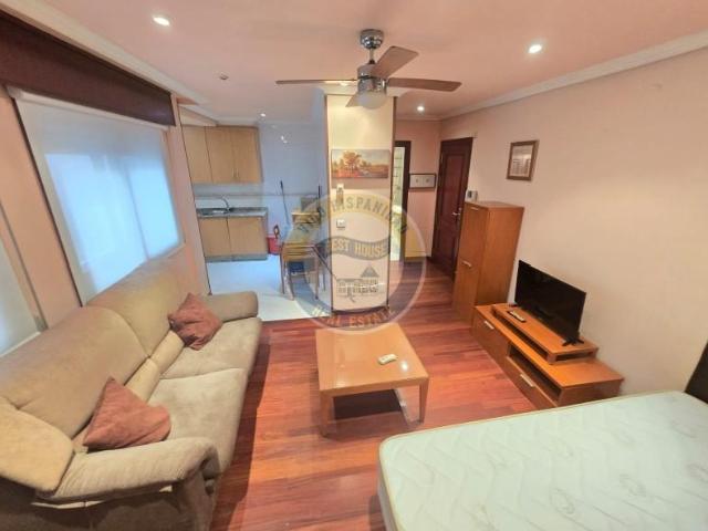 Estudio en alquiler en Castrelos, Vigo