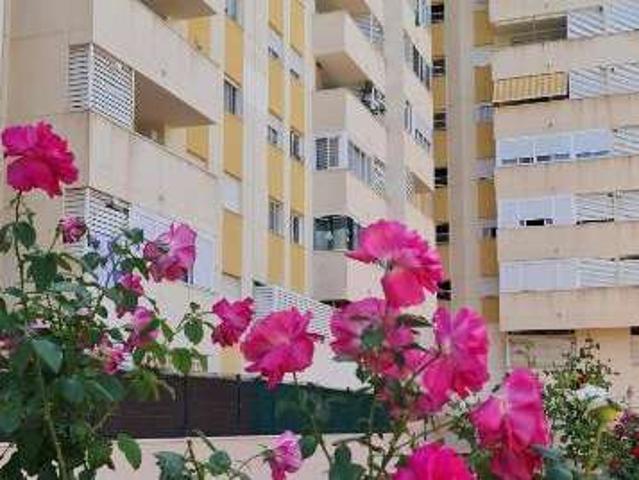 Estudio en alquiler en Cales i Talaies, la Marina Baixa