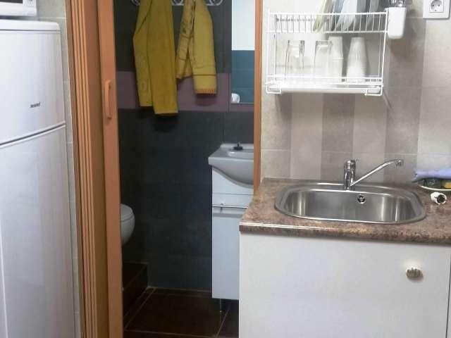 Estudio en alquiler en L'hospitalet De Llobregat, la Torrassa