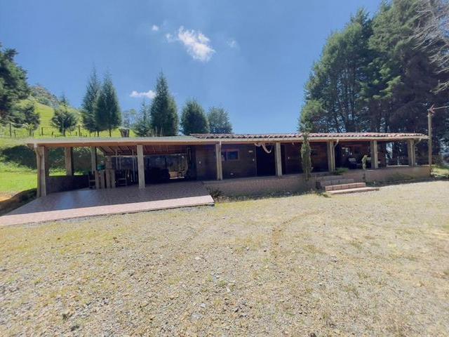 Apartaestudio en arriendo en Antioquia, Guarne