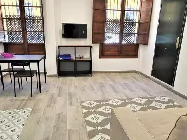 Apartamento en alquiler en Casco Antiguo, Sevilla