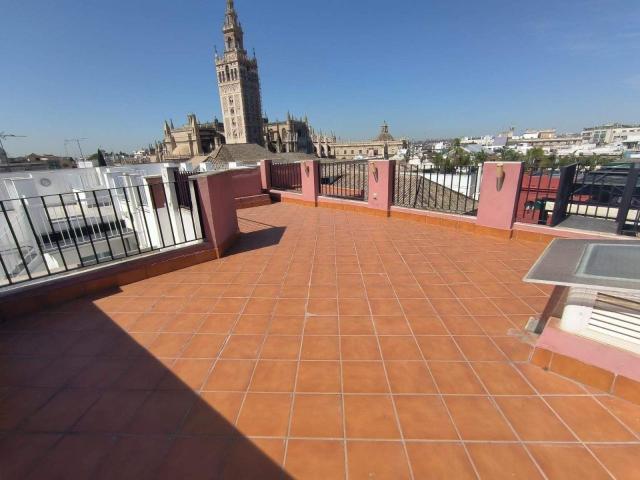 Estudio en alquiler en Sevilla, El Arenal