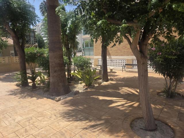 Estudio en venta en Casco Antiguo - Santa Cruz - Ayuntamiento, l'Alacantí